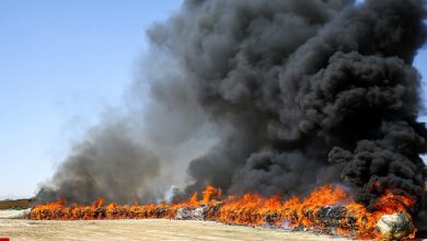 امحاء ۶۴ تن انواع مواد مخدر شرق کشور در بیرجند