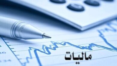 اولویت امور مالیاتی فارس، گرفتن مالیات از دانه‌ درشت‌هاست