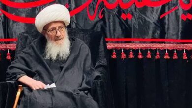 آیت‌الله وحید خراسانی: عزاداری محرم و عاشورای امسال باید دو برابر سال‌های گذشته باشد