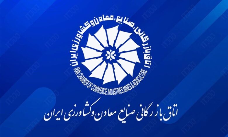 اثرات قطع برق صنایع «جبران‌ناپذیر» است/ دولت در کنار بخش خصوصی باشد