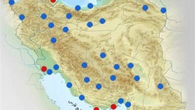 انتقاد فعالان کارگری از خروج کارگران مناطق آزاد و ویژه از چتر حمایتی قانون کار