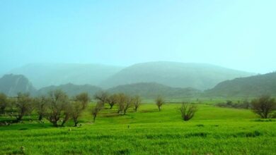 بارش باران در برخی شهرها و گرد و خاک در نوار شرقی کشور