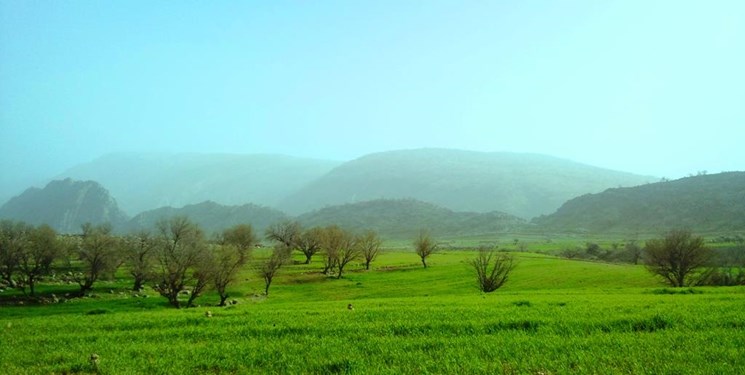 بارش باران در برخی شهرها و گرد و خاک در نوار شرقی کشور