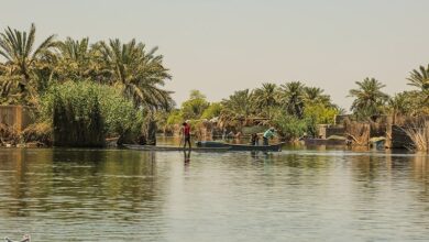 بخشی از تالاب شادگان خشک شد‌