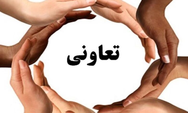 تعاونی‌ها در سال ۱۴۰۱ چه میزان تسهیلات دریافت کردند؟