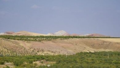 «تپه کوزه‌چی رضا آباد» ثبت ملی شد