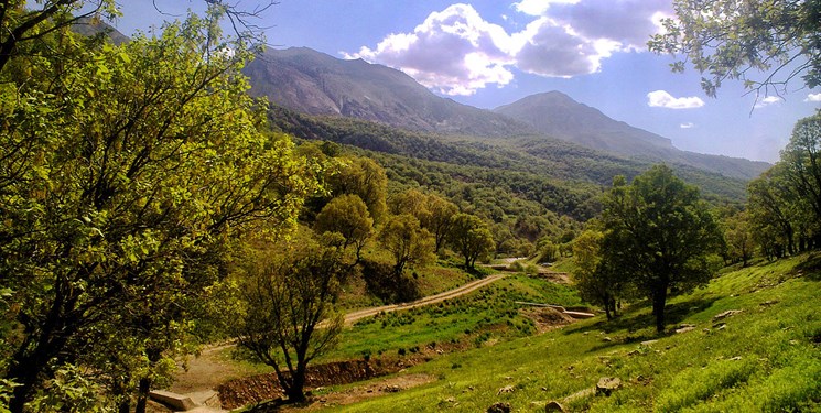 زمینه ثبت مریوان به عنوان پایتخت بلوط ایران فراهم می‌شود