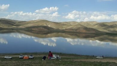 ویلاهایی که تالاب بین‌المللی «قوریگل» را می‌بلعند+ فیلم