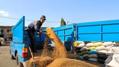 پرداخت ۱۲۸۰ میلیارد تومان از مطالبات کشاورزان لرستان