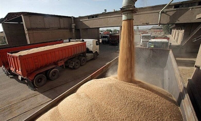 پرداخت ۱۵ هزار میلیارد تومان بیشتر از سال گذشته برای خرید تضمینی گندم