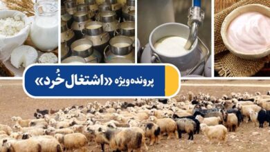 پرونده ویژه «اشتغال خُرد»| ماست پرچرب آقای سرمایه‌گذار برای روستائیان