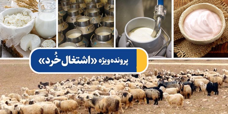 پرونده ویژه «اشتغال خُرد»| ماست پرچرب آقای سرمایه‌گذار برای روستائیان