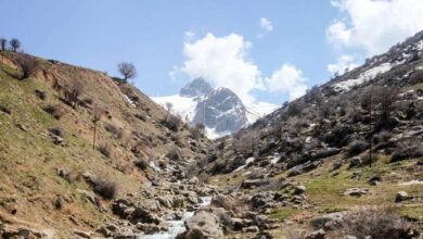 ‌یک‌صدم درصد مساحت ایران پوشیده از برف است