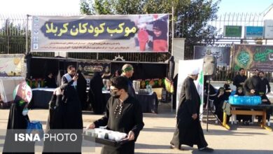 آرامی: همه امکانات برای تسهیل تردد زائران اربعین بسیج شده/با ایرلاین‌های متخلف برخورد می‌شود