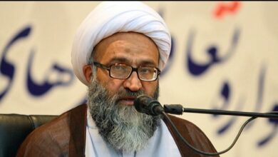 آیت‌الله حیدری: سدهای بالادست کرخه را تعطیل کنید