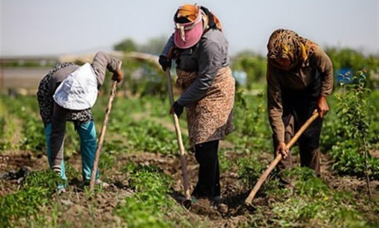 اختصاص ۸۰۰ میلیارد ریال برای اشتغال روستایی استان چهارمحال و بختیاری