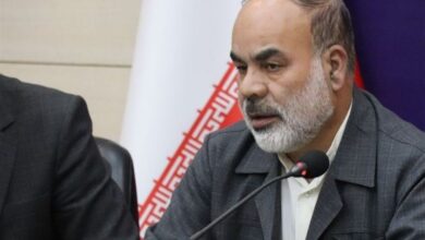 استاندار سیستان و بلوچستان: اقتصاد و امنیت کشورهای همسایه برای ما اهمیت دارد ‌