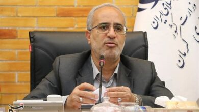 انتقاد استاندار کرمان از عدم همکاری بانک‌ها در تامین سرمایه واحدهای صنعتی