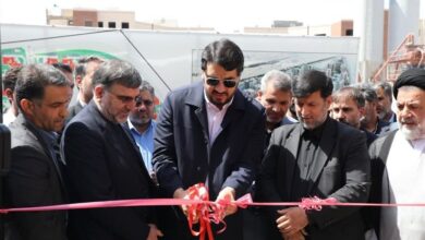 بذرپاش: ۵۰۰ هزار قطعه زمین روستایی در ‌طرح نهضت ملی مسکن به ‌متقاضیان ‌تحویل می‌شود‌ + فیلم