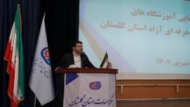 تحقق ۶۰ درصدی اشتغال استان گلستان با آموزش‌های مهارتی