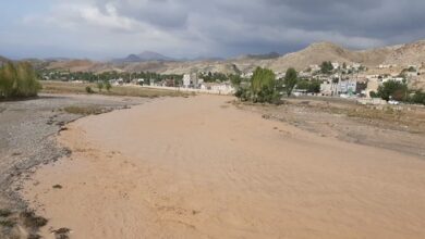 خسارت سیل به 14 روستای مشکین‌شهر + عکس