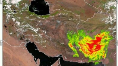 سرعت طوفان در زابل به مرز ۱۰۰ کیلومتر در ساعت رسید