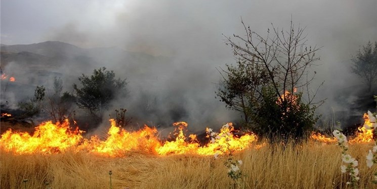 شناسایی عامل آتش سوزی پارک ملی بوجاق بندرکیاشهر