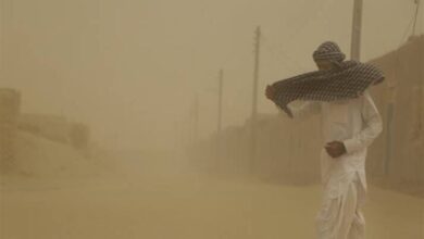 طوفان با سرعت ۹۴ کیلومتر سیستان را درنوردید/ ۷۳۳ نفر راهی مراکز درمانی شدند