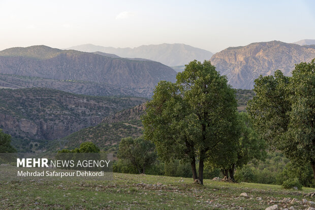 قصور برخی نهادها در تکمیل طرح پنجره واحد «مدیریت زمین»