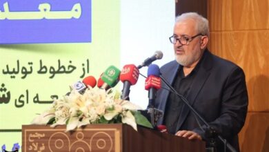 وزیر صنعت: عضویت ایران در گروه بریکس ناشی از استقامت جمهوری اسلامی بود