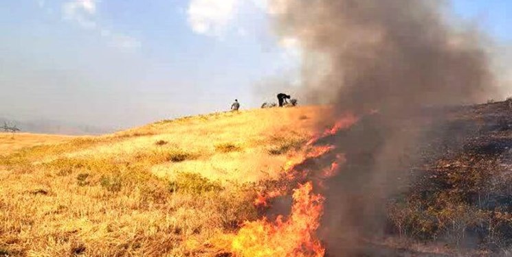 کمبود کمباین و خسارتی که به مزارع گندم بانه وارد می‌شود