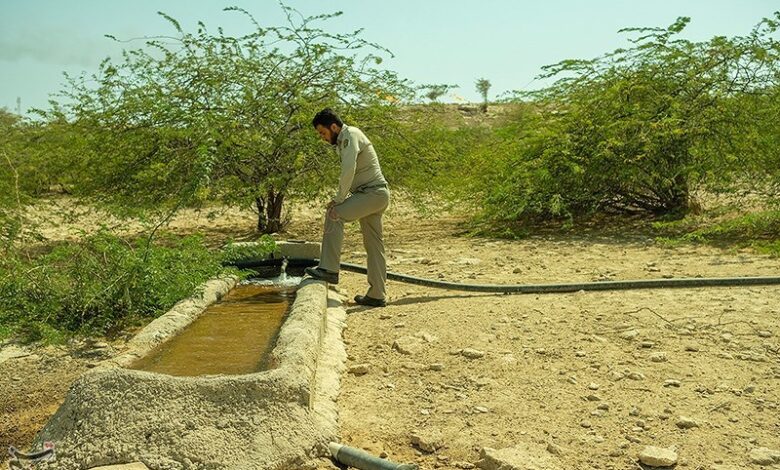 کمبود ۲۳۷ محیط‌بان در کهگیلویه وبویراحمد