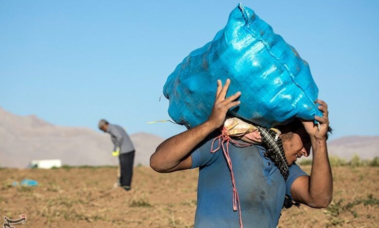 گره کور کشت کشاورزان مهاجر در لرستان؛ “زمینِ سوخته”، میراثی برای آیندگان