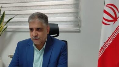 ۳.۶ میلیون گندم توسط سازمان تعاون روستایی خریداری شد