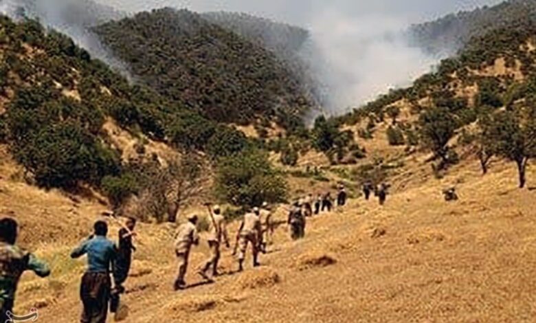 ۴ دستور رئیس دادگستری کردستان درباره آتش‌سوزی جنگل‌های مریوان