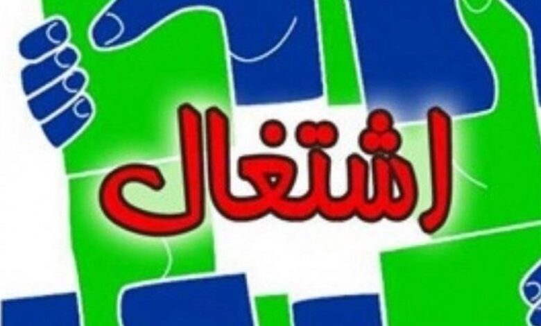 ایجاد سامانه‌ مشکل بیکاری را حل نمی‌کند/ضرورت مشارکت تعاونی ها در اشتغالزایی