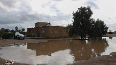 بیش از ۷۹۰ سازه مزاحم در بستر رودخانه‌های استان کرمان شناسایی شد