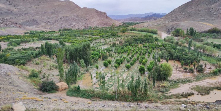 بیشترین خسارت سیل مشگین‌شهر در بخش کشاوری بوده است