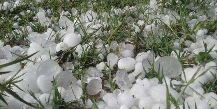 خسارت تگرگ به ۱۳ روستای سلماس