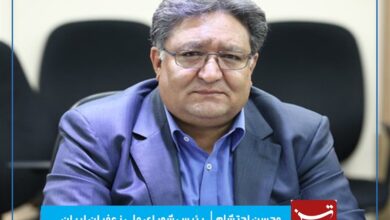 رئیس شورای ملی زعفران: برای برندسازی بهترین کیفیت زعفران ایران غفلت شده است