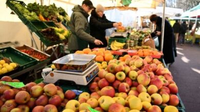 سقوط شاخص قیمت جهانی مواد غذایی