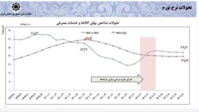 صالحی: تناقضی در سخنان رئیس‌جمهوری نیست/ دولت را با تورم ۶۰ درصد تحویل گرفتیم