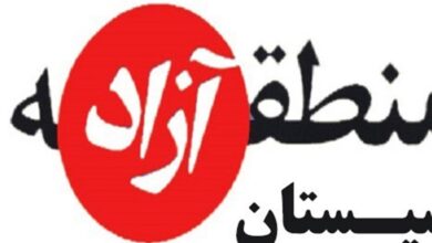 فراهم‌سازی مقدمات تشکیل سازمان منطقه آزاد سیستان