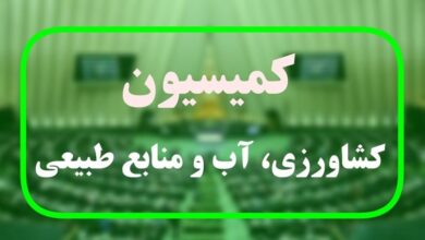 مأموریت به کمیسیون کشاورزی برای بررسی علت فساد ۶ هزار تن نهاده دامی در کشور