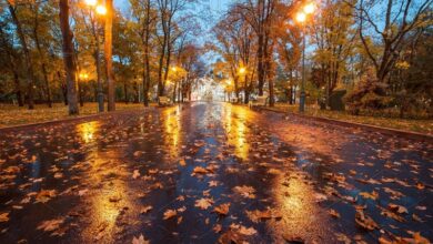 هواشناسی ایران ۱۴۰۲/۰۷/۰۲؛ هشدار فعالیت سامانه بارشی/احتمال آب‌گرفتگی و سیلاب ناگهانی در ۵ استان