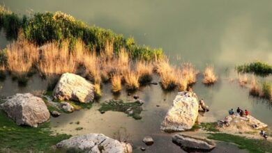 پایش آنفلو‌انزای فوق‌حاد پرندگان در ۳۰ اکوسیستم لرستان