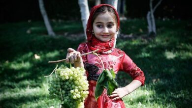 چهار جشنواره‌ پاییزی در ملایر برگزار می‌شود