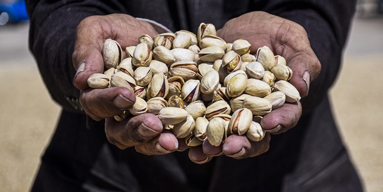 کپی آمریکایی از پسته ایران برابر اصل نیست