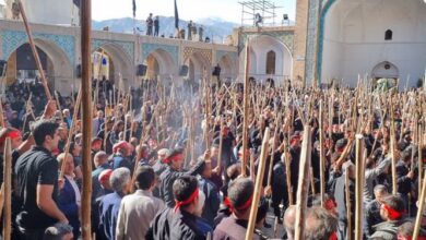 آئین سنتی، مذهبی قالی‌شویان در مشهد اردهال کاشان برگزار شد