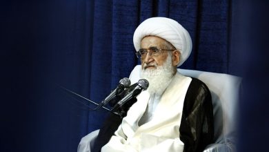 آیت‌الله نوری همدانی: سران کشورهای اسلامی بجای بیانیه اقدام عملی کنند